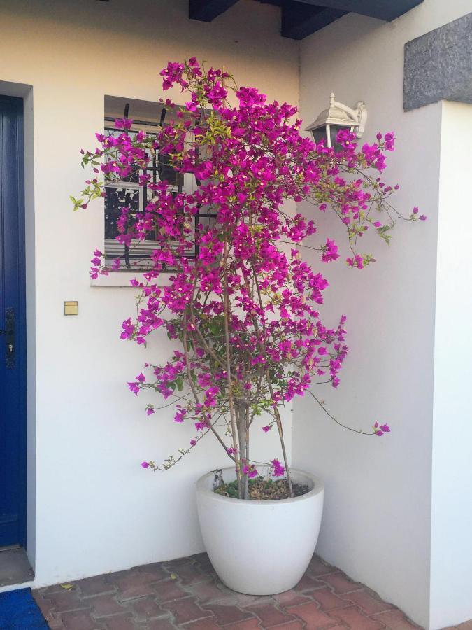 Haritza Bed & Breakfast Anglet Exterior photo